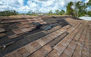 Signs Your Shingle Roof Needs Replacement Before Winter Hits