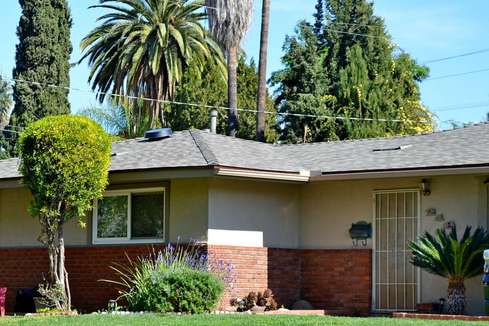 What Happens If I Ignore Missing or Damaged Shingles?